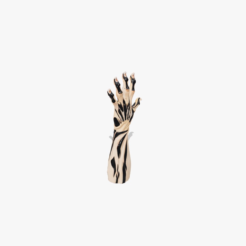 Zebra Striped Creature Hand model pack